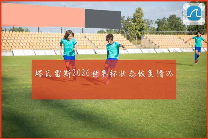 塔瓦雷斯2026世界杯状态恢复情况