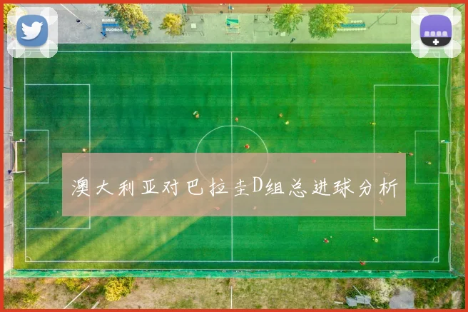 澳大利亚对巴拉圭D组总进球分析