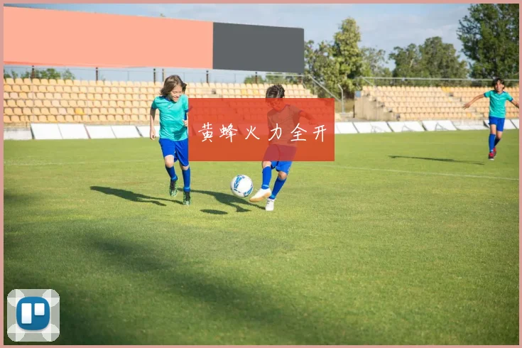 黄蜂火力全开
