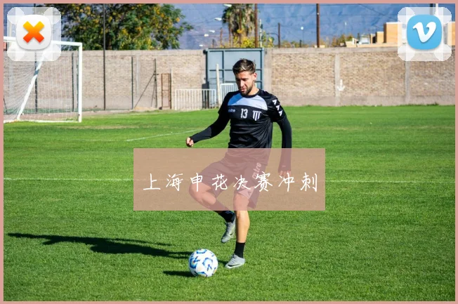 上海申花决赛冲刺