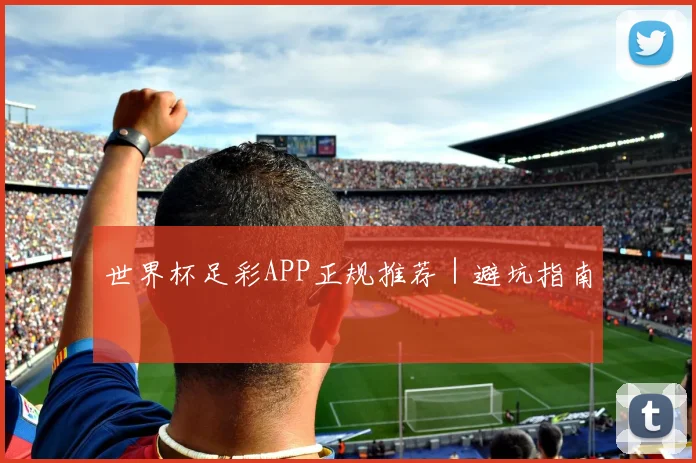 世界杯足彩APP正规推荐｜避坑指南