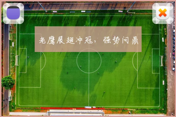 老鹰展翅冲冠，强势问鼎