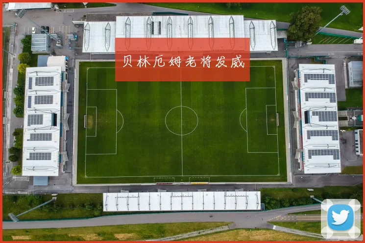 贝林厄姆老将发威