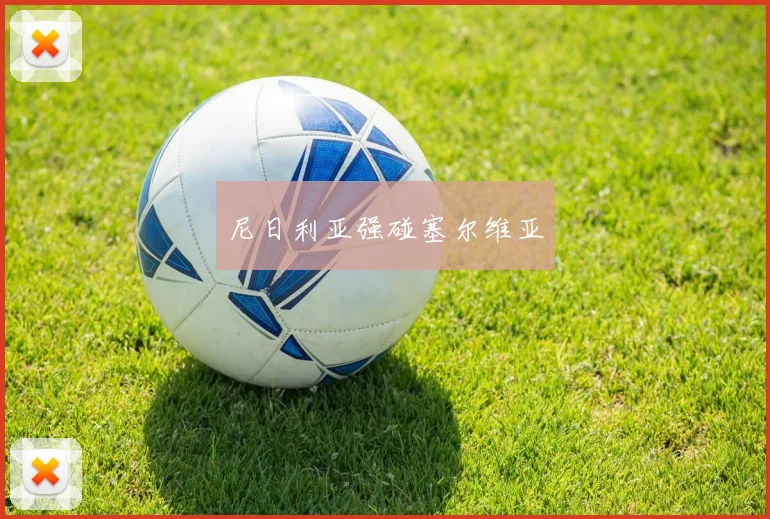 尼日利亚强碰塞尔维亚