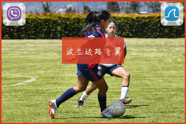 波兰边路飞翼