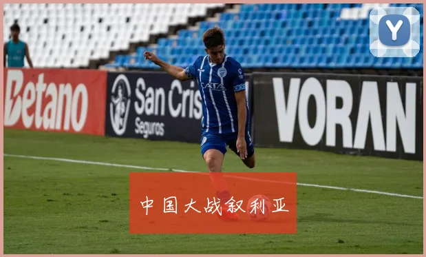 中国大战叙利亚