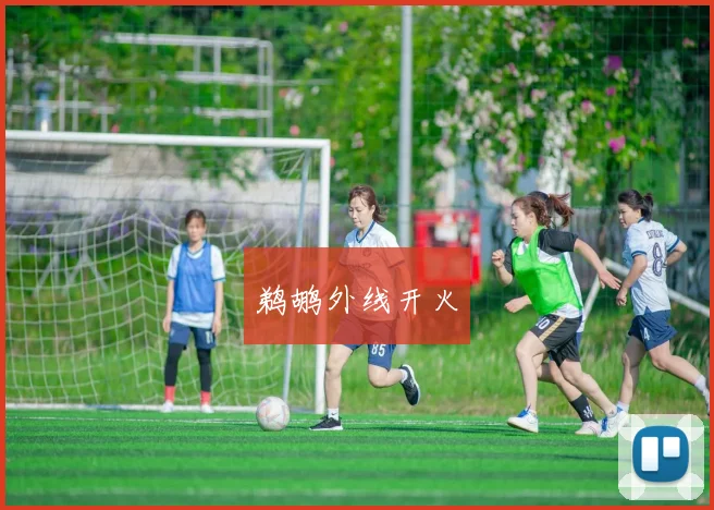 鹈鹕外线开火