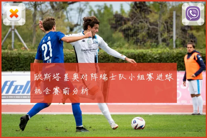欧斯塔基奥对阵瑞士队小组赛进球机会赛前分析